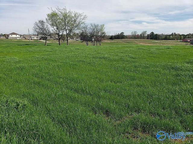17930 Wales Drive, Harvest, AL 35749