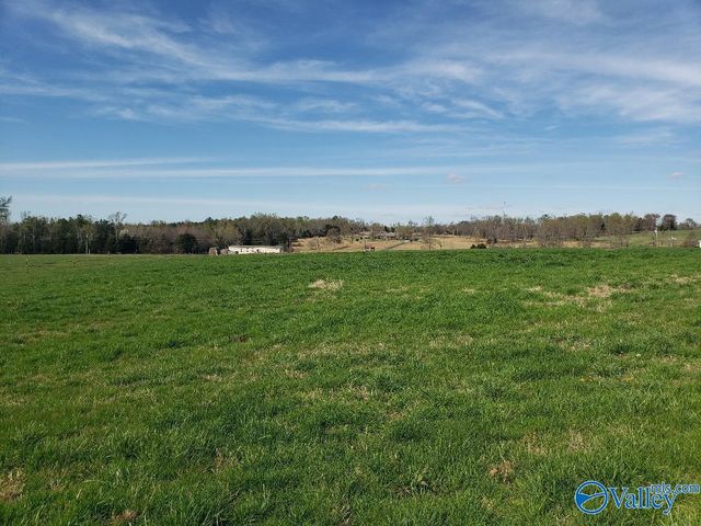 17930 Wales Drive, Harvest, AL 35749