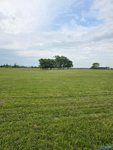 17930 Wales Drive, Harvest, AL 35749