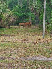 0000 CULVER WAY, Geneva, FL 32732