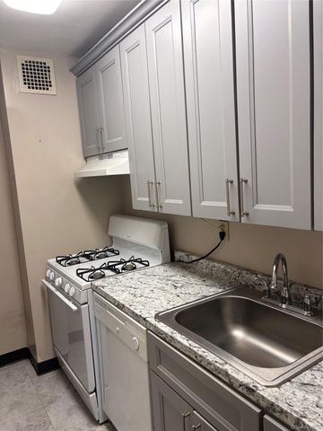 101 Clinton Avenue 1G, Mineola, NY 11501