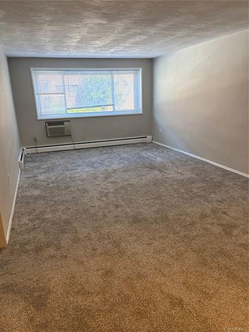 101 Clinton Avenue 1G, Mineola, NY 11501