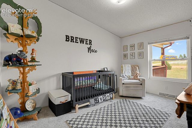 6630 Buckboard Drive, Peyton, CO 80831