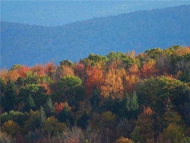 180 Fox Ridge Road, Middletown, NY 12455