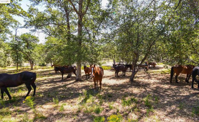 26255 Powell Ranch Rd, Sonora, CA 95370