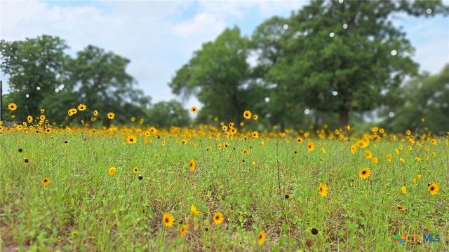 Lot 222 Flash Circle, Luling, TX 78648