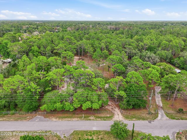 18200 Normandeau Street, Spring Hill(pasco), FL 34610