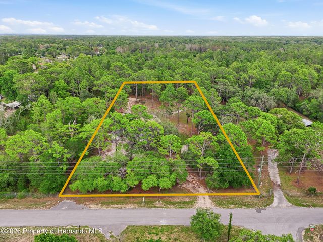 18200 Normandeau Street, Spring Hill(pasco), FL 34610