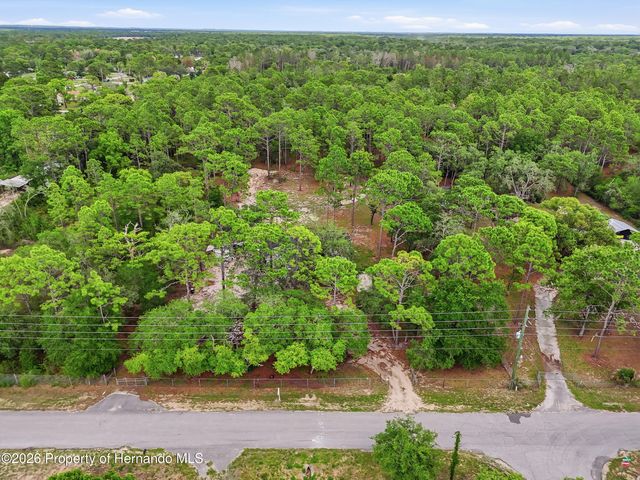18200 Normandeau Street, Spring Hill(pasco), FL 34610