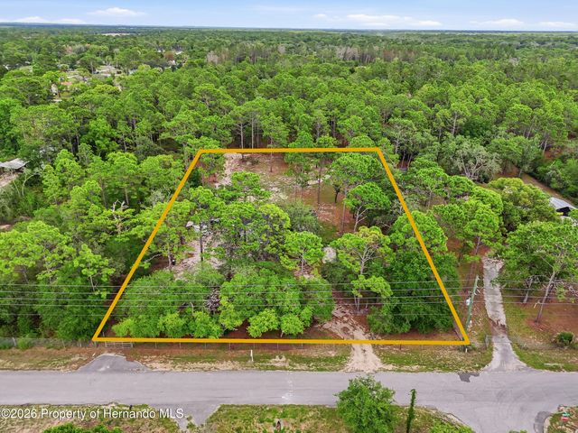 18200 Normandeau Street, Spring Hill(pasco), FL 34610