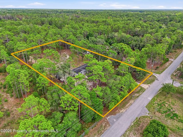 18200 Normandeau Street, Spring Hill(pasco), FL 34610