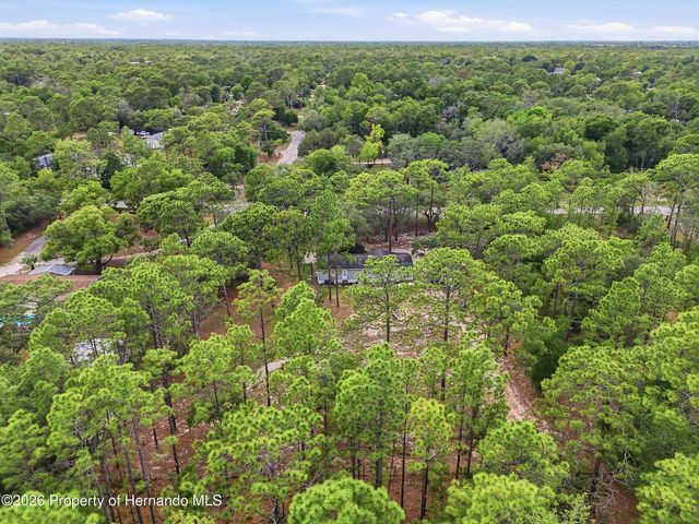 18200 Normandeau Street, Spring Hill(pasco), FL 34610