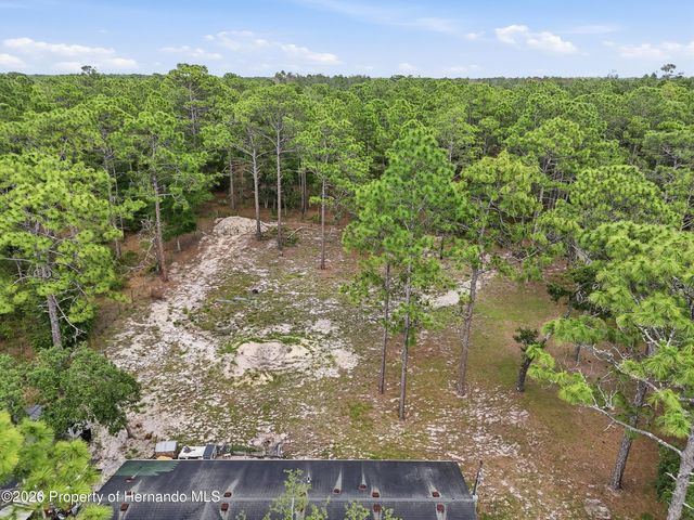 18200 Normandeau Street, Spring Hill(pasco), FL 34610