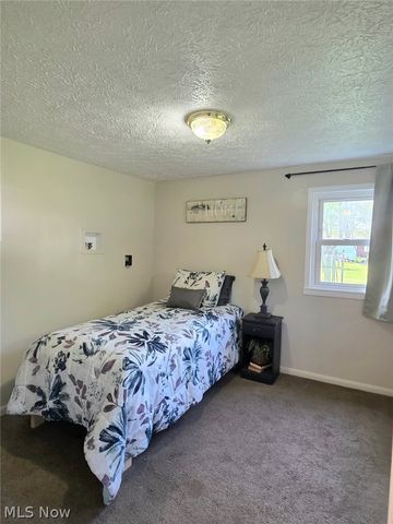 391 Louise Avenue, Kent, OH 44240