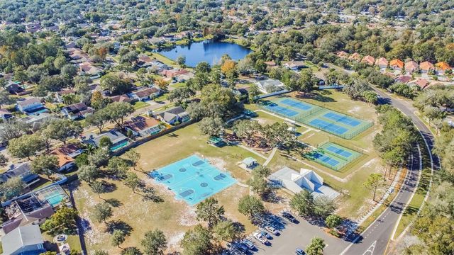 4009 ORANGEFIELD PLACE, Valrico, FL 33596