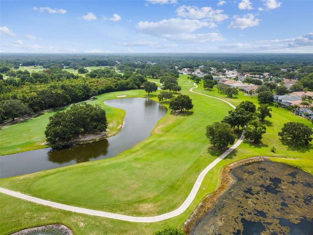 4009 ORANGEFIELD PLACE, Valrico, FL 33596