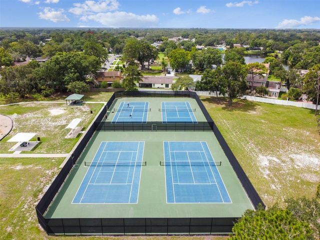 4009 ORANGEFIELD PLACE, Valrico, FL 33596