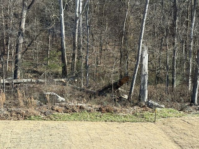 4316 Oswin Dr, Murfreesboro, TN 37129