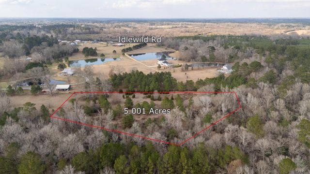 Tract G-2-A Idlewild Rd, Clinton, LA 70722