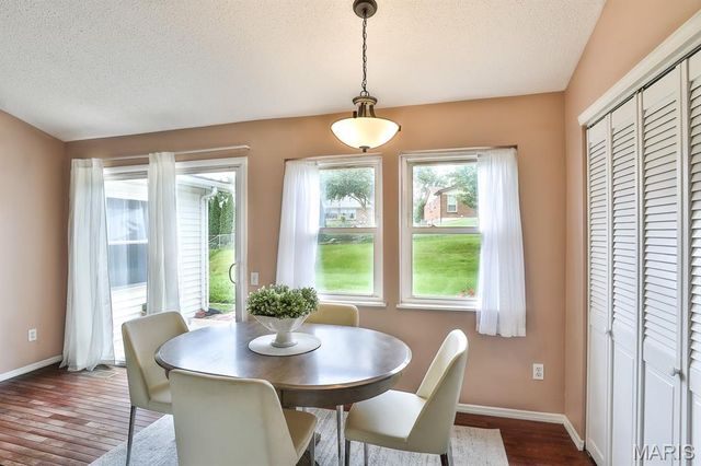 11858 Villa Dorado Drive, St Louis, MO 63146