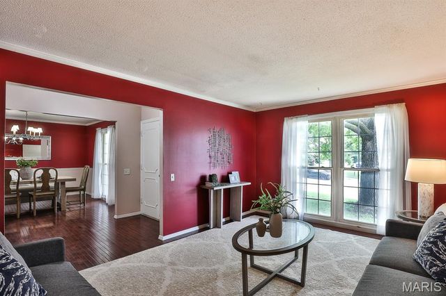 11858 Villa Dorado Drive, St Louis, MO 63146