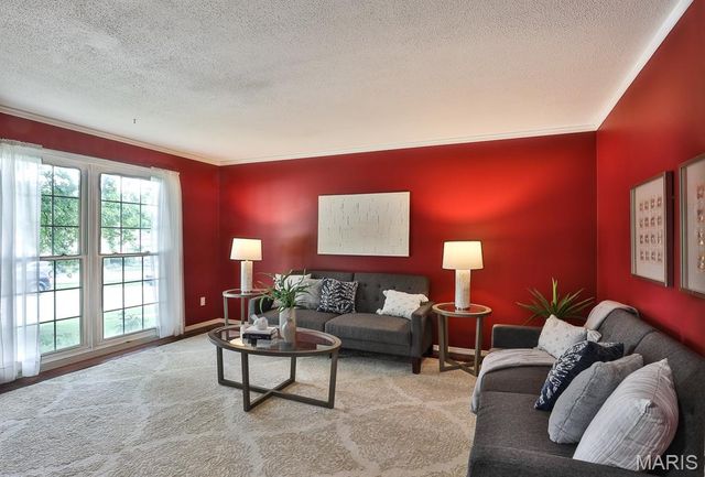 11858 Villa Dorado Drive, St Louis, MO 63146