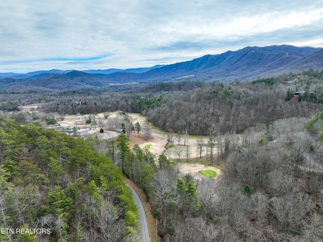 651 Hawk View Drive, Townsend, TN 37882