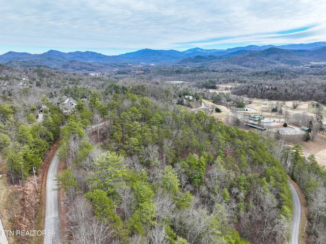 651 Hawk View Drive, Townsend, TN 37882