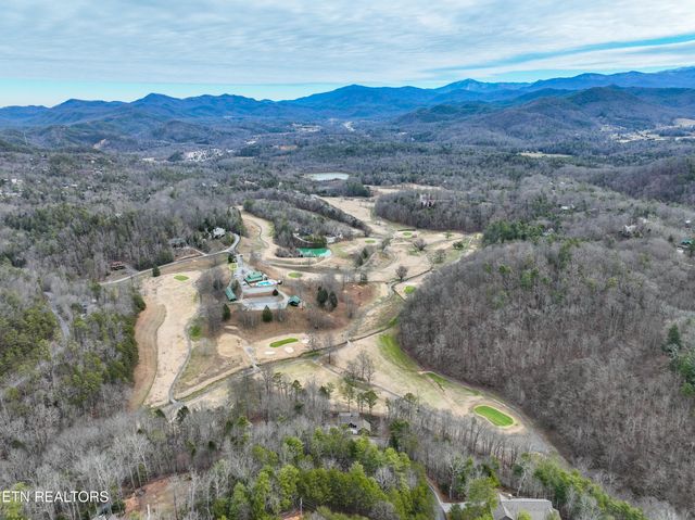 651 Hawk View Drive, Townsend, TN 37882