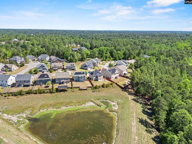 292 Meadow SPrings Drive, Columbia, SC 29229