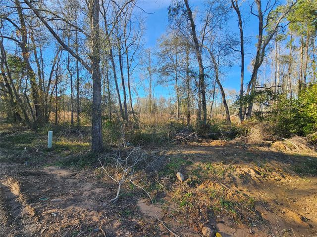 Lot 3 Sherwood Drive, Shepherd, TX 77371