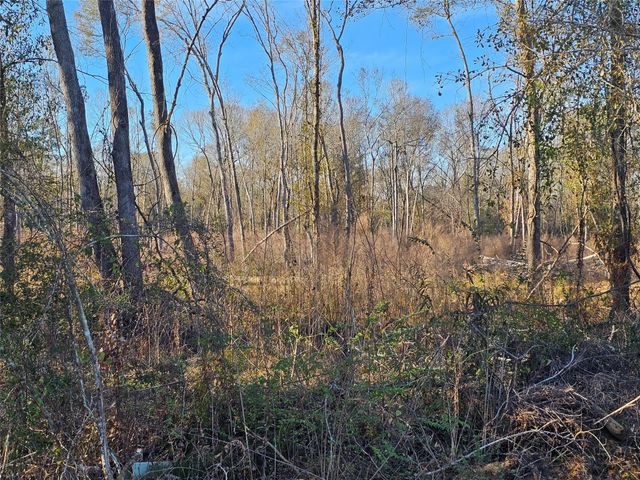 Lot 3 Sherwood Drive, Shepherd, TX 77371