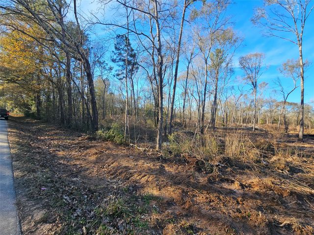 Lot 3 Sherwood Drive, Shepherd, TX 77371