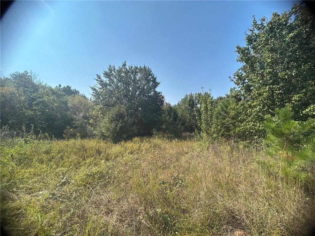 0 Blanche Road, Cedartown, GA 30125
