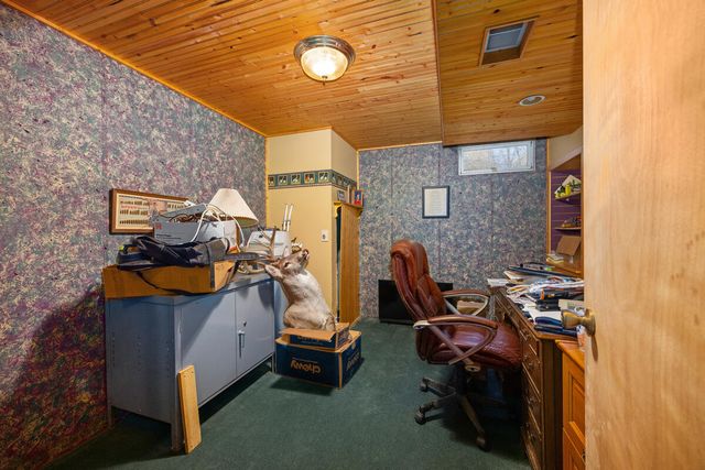 15056 Oakwood Drive, Big Rapids Twp, MI 49307