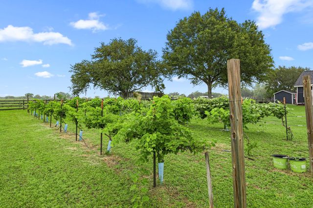 16720 Fm 1164 Road, East Bernard, TX 77435