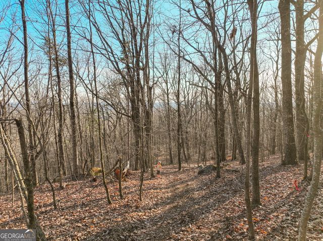LOT 1 Mount Mincie Road, Murrayville, GA 30564
