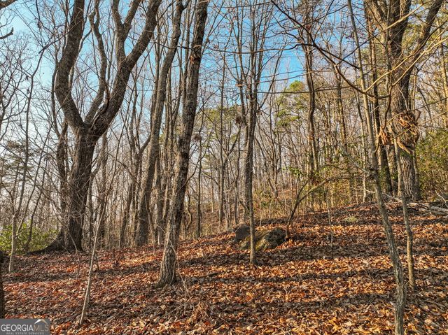 LOT 1 Mount Mincie Road, Murrayville, GA 30564