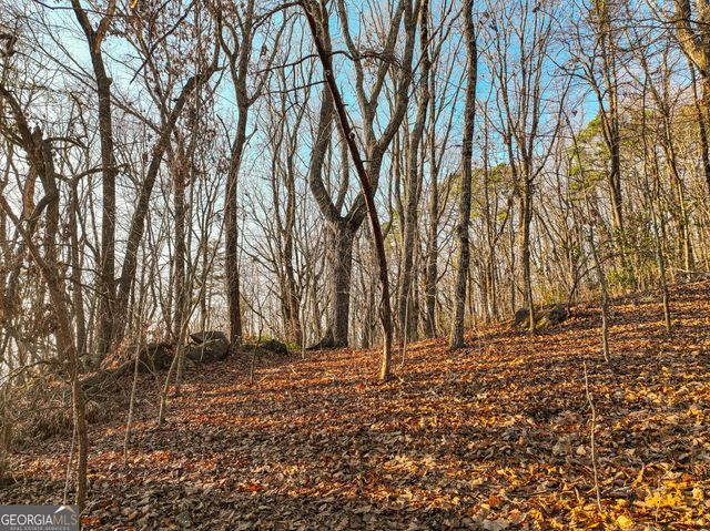 LOT 1 Mount Mincie Road, Murrayville, GA 30564