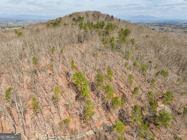 LOT 1 Mount Mincie Road, Murrayville, GA 30564