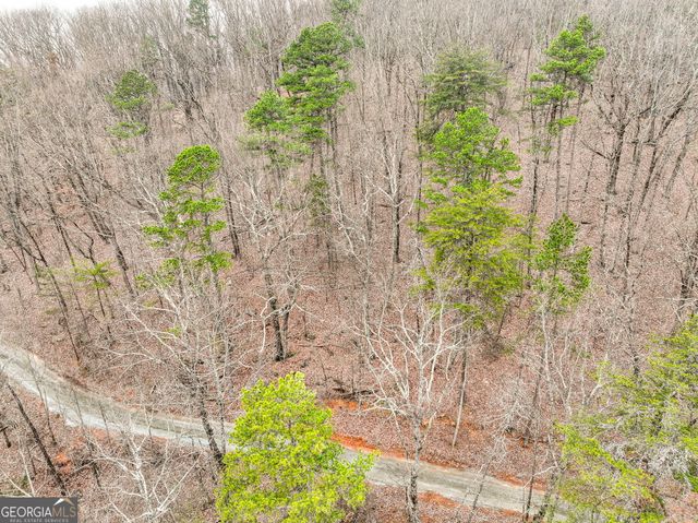 LOT 1 Mount Mincie Road, Murrayville, GA 30564