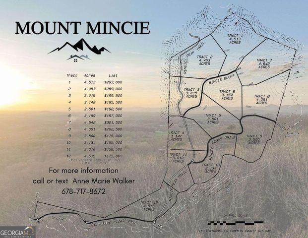 LOT 1 Mount Mincie Road, Murrayville, GA 30564