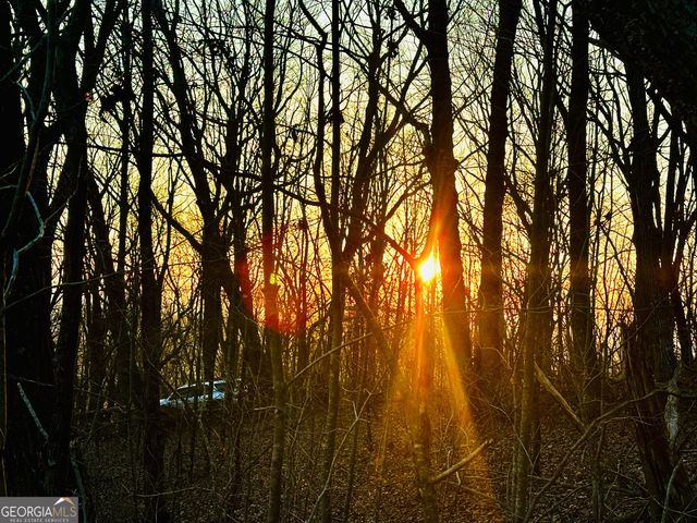 LOT 1 Mount Mincie Road, Murrayville, GA 30564