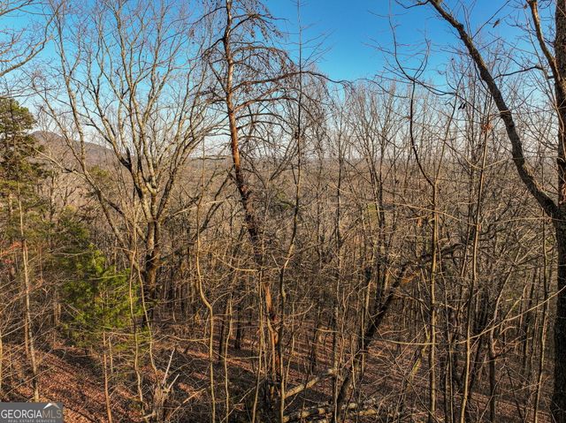 LOT 1 Mount Mincie Road, Murrayville, GA 30564