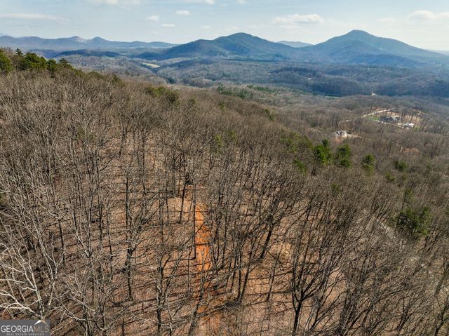 LOT 1 Mount Mincie Road, Murrayville, GA 30564