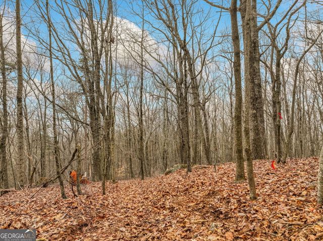 LOT 1 Mount Mincie Road, Murrayville, GA 30564