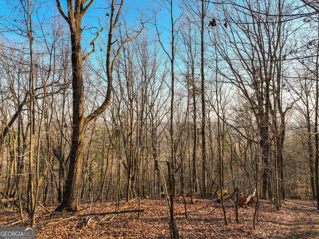 LOT 1 Mount Mincie Road, Murrayville, GA 30564