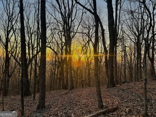 LOT 1 Mount Mincie Road, Murrayville, GA 30564