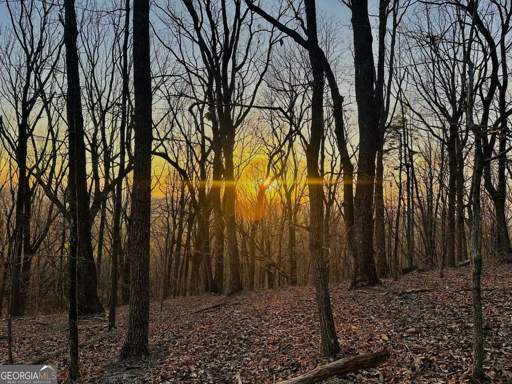 LOT 1 Mount Mincie Road, Murrayville, GA 30564