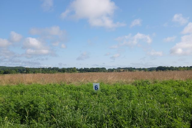 31 Wolf Bend, East Bernstadt, KY 40729